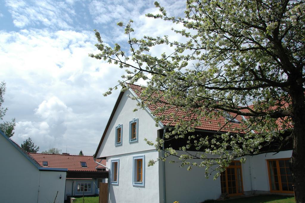 Boretinsky Statek Zewnętrze zdjęcie